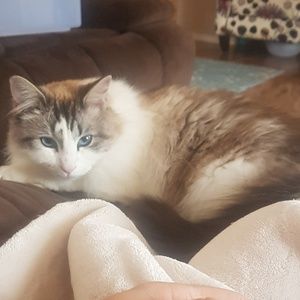 Meet your Posher, Tami